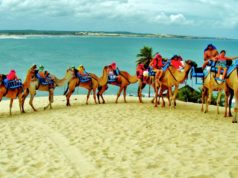 Passeio de quadriciclo em Natal: Faça trilhas inesquecíveis! Passeio de quadriciclo em Natal: Faça trilhas inesquecíveis!